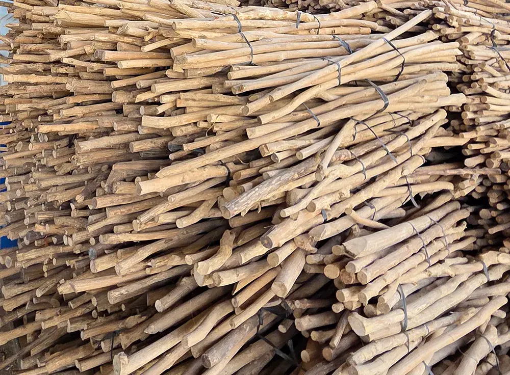 Approvisionnement durable en bois de café