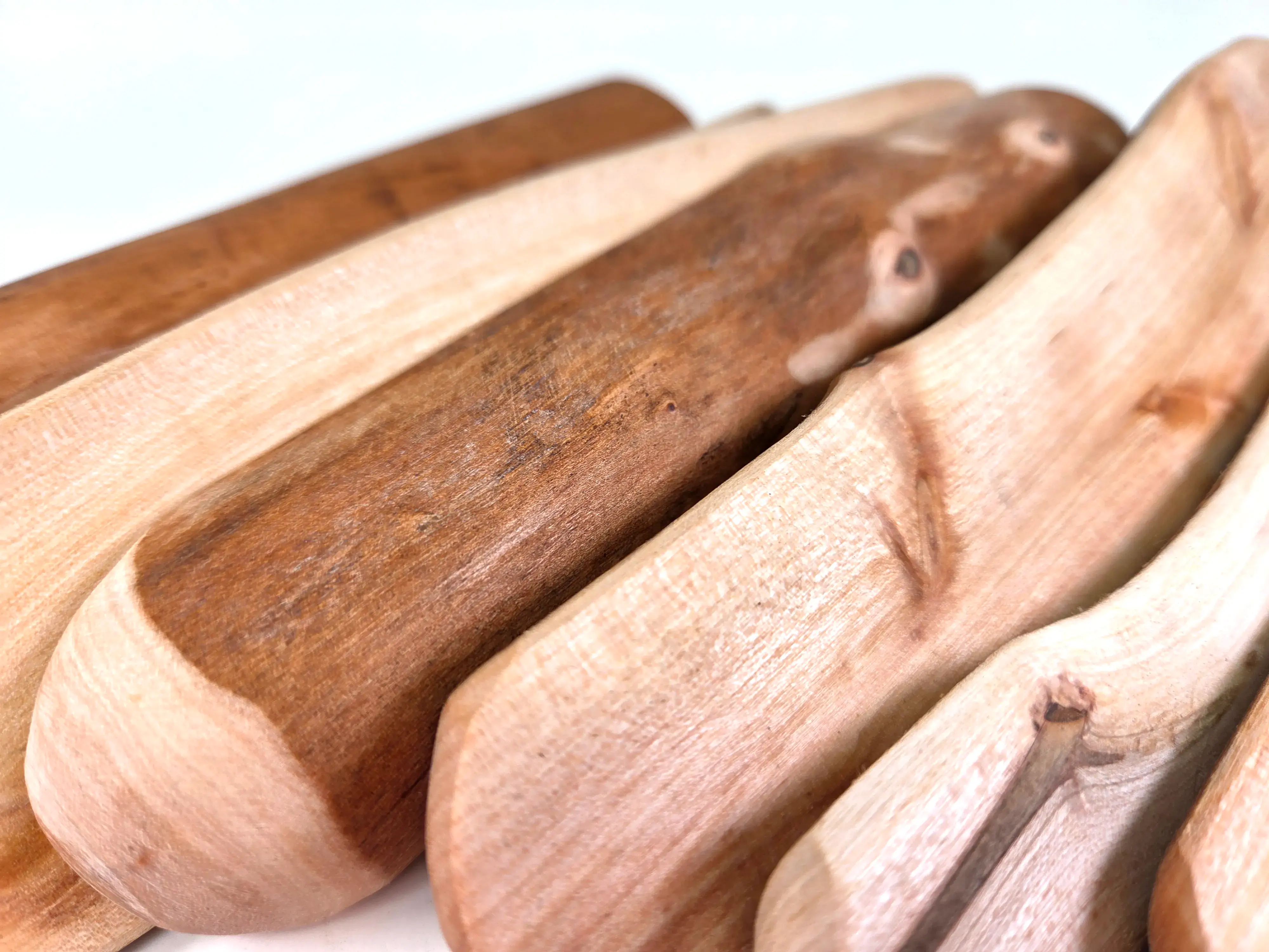 jouet tranche de bois de cannelle pour chiens