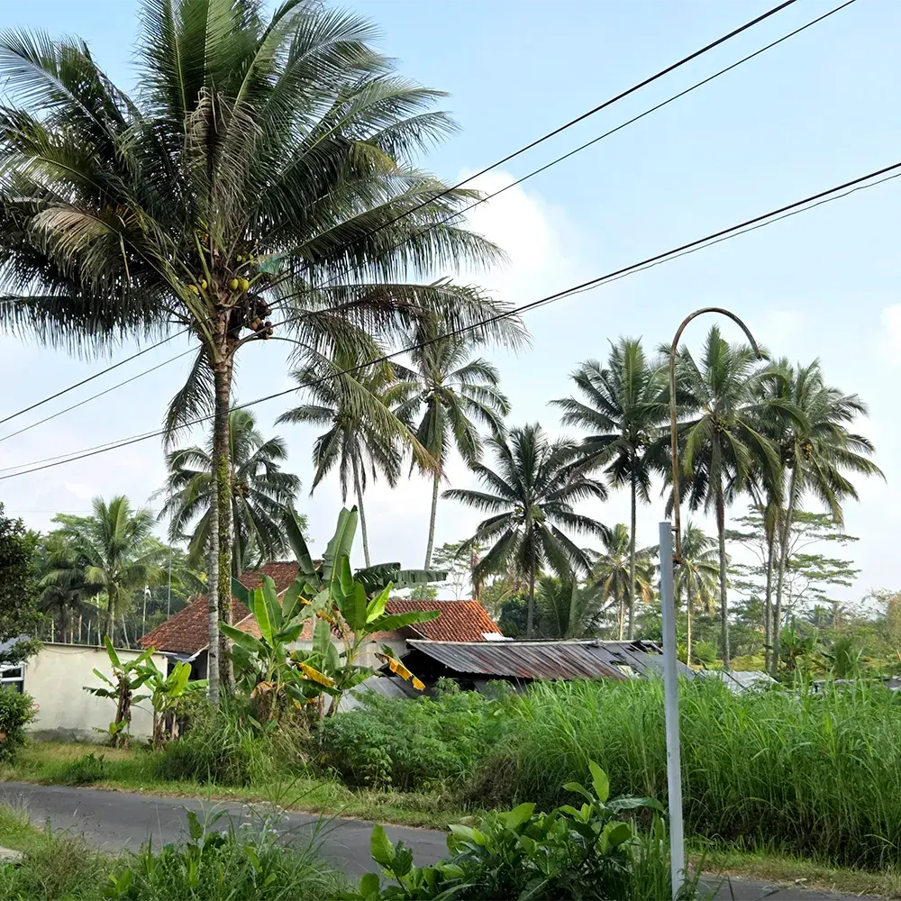 Les paysage indonésiens