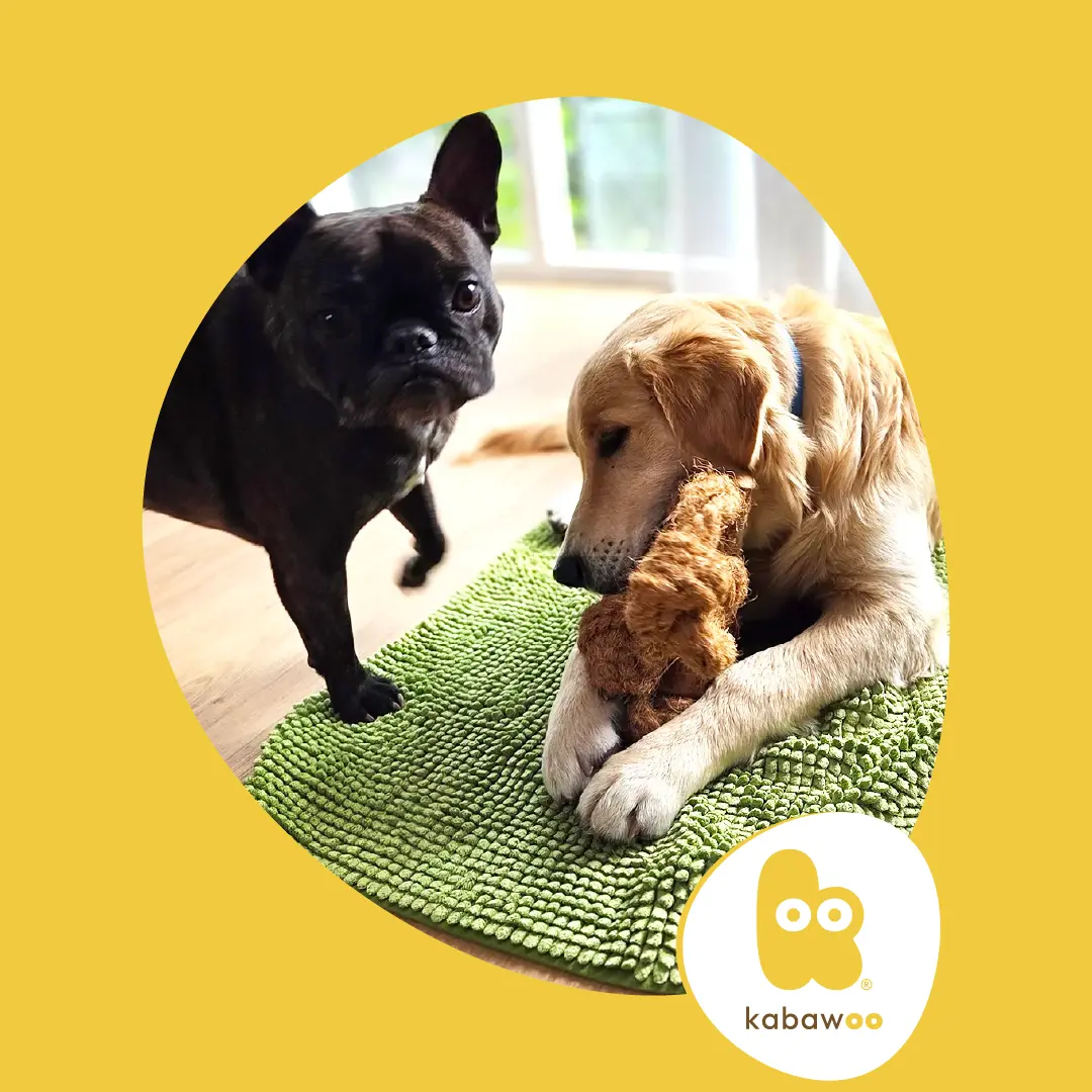 chiens avec jouets Kabawoo