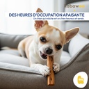 CINN-DOG1S-FR-80.jpg