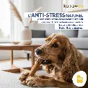 CINN-DOG2S-FR-80.webp