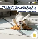 COFF-DOG2S-FR.webp