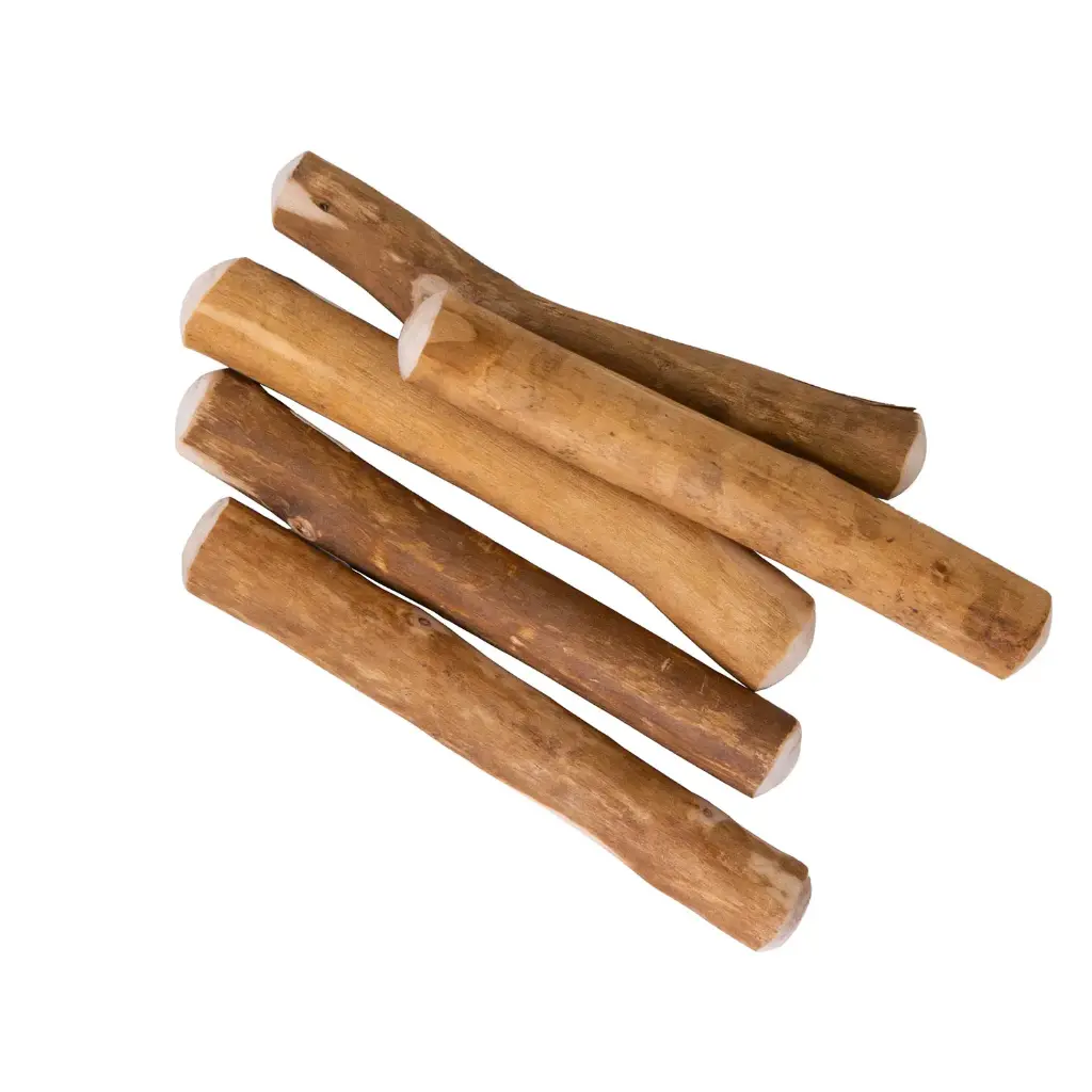 Bois de Cannelle à mâcher