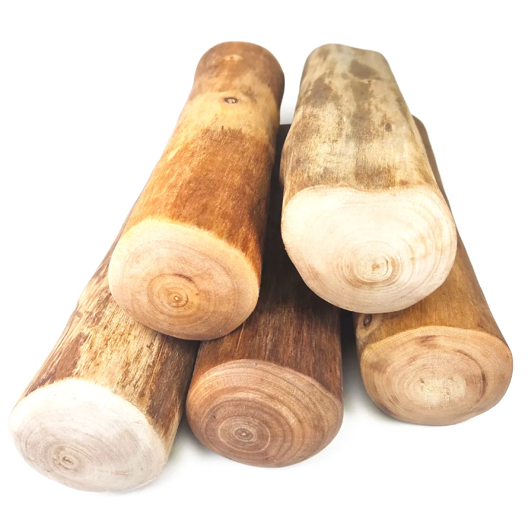 Kabawoo - Pack famille (5 bâtons) à mâcher en bois de canelle de Java